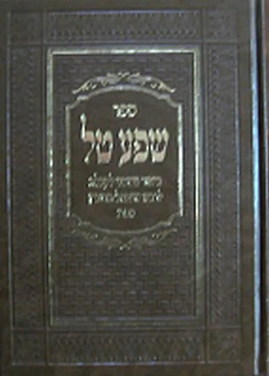 שפע טל