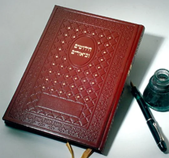 חידושים ובאורים