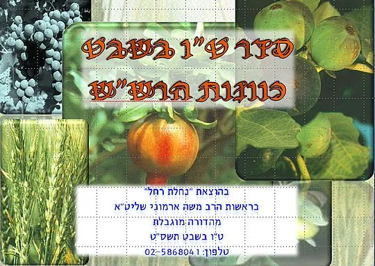 חוברת סדר ט"ו בשבט