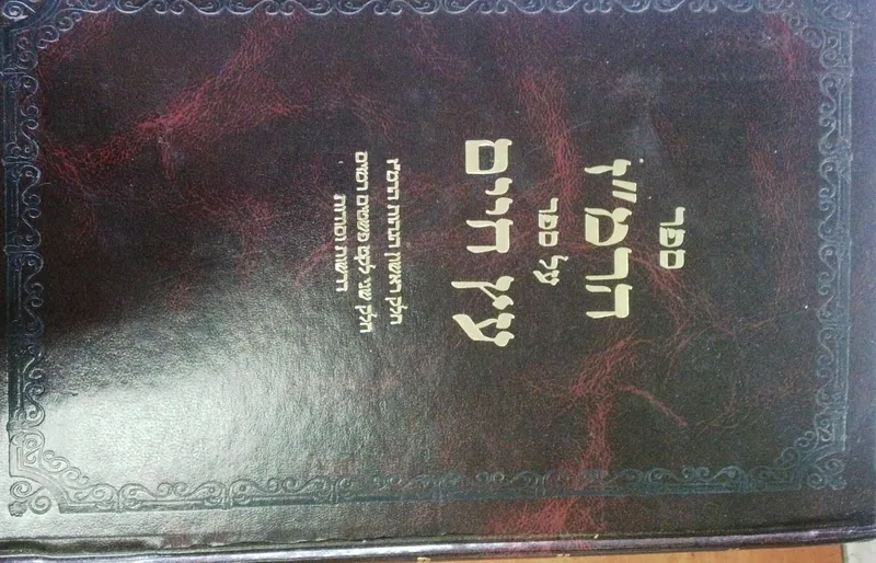 ספר הרמ"ז על ספר עץ חיים