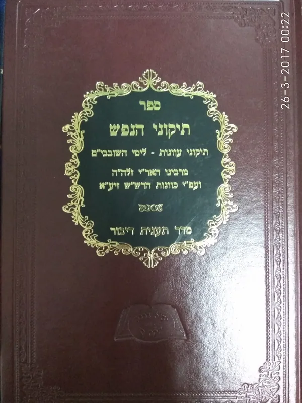 תיקוני הנפש - תיקוני עוונות לימי השובבי"ם