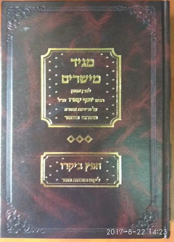 מגיד מישרים